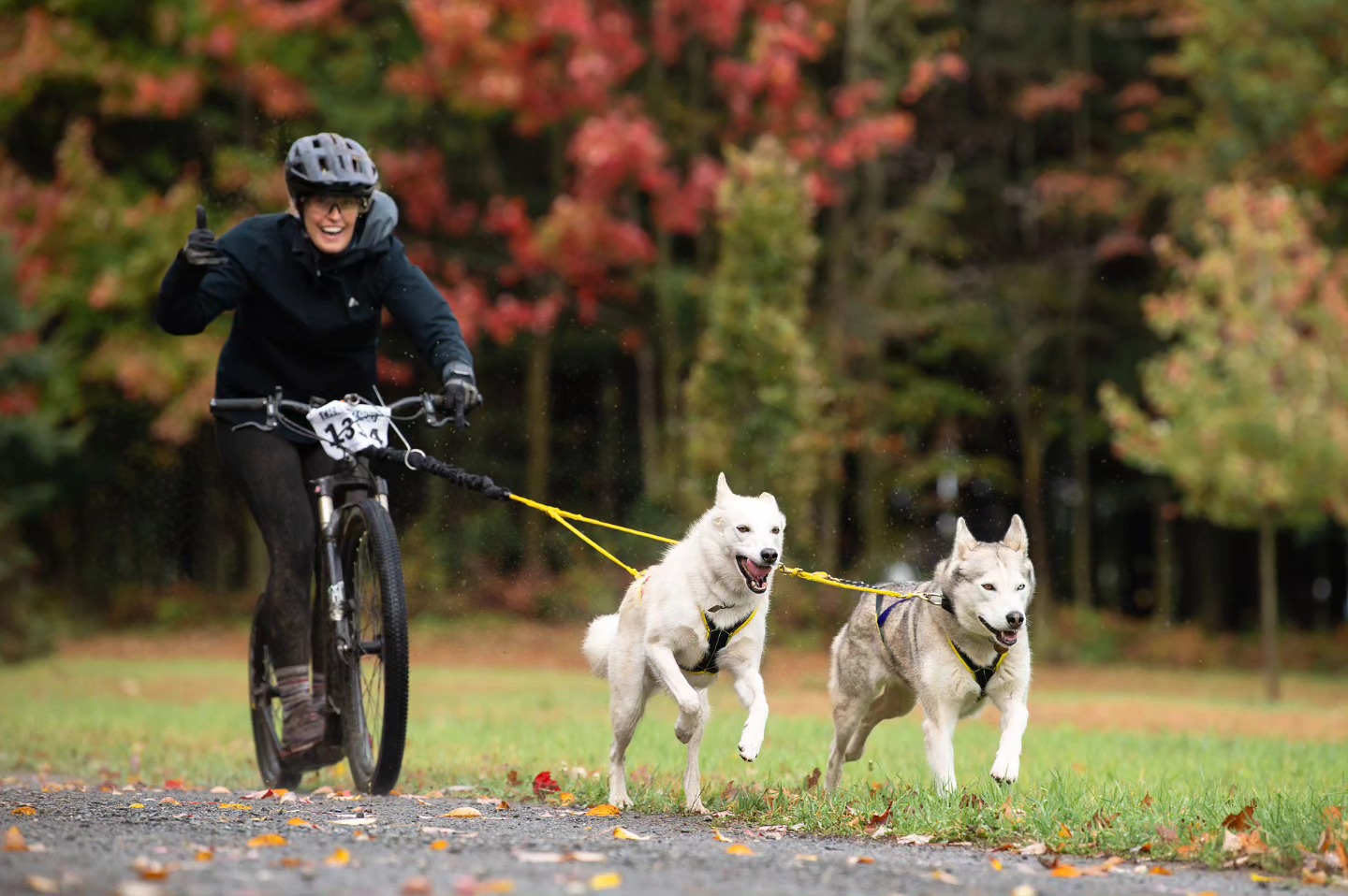 Nahak Ligne Bungee Bikejoring - Noir – Image 2