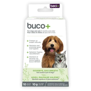 Baci+ Bucco + Chien/Chat - 10 jours