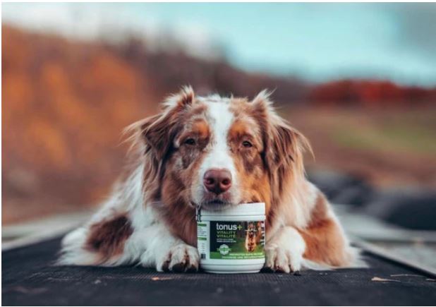 Baci+ Tonus + Vitalité – Image 4