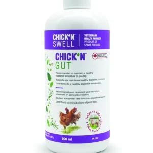 Chick'N Swell Santé Digestive 500ml
