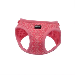 Coastal Harnais LI'L Canevas 10-12''