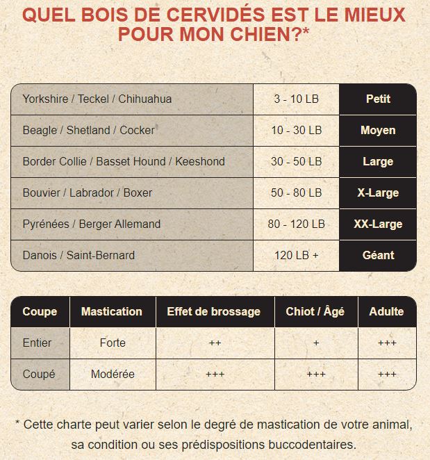 Jawgler/Dentler Bois de Cervidé Naturel Entier – Image 2