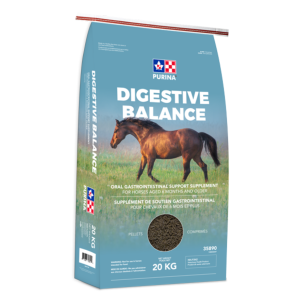 Purina Digestive Balance - 20 kg