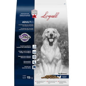 Loyall Premium Chien Adulte 15kg
