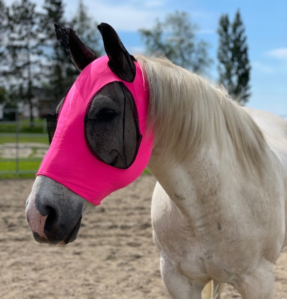 Masque à Mouches Lycra - Rose – Image 2