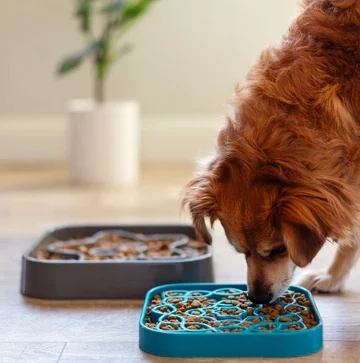 Messy Mutts Bol Ralentisseur Carré - Bleu – Image 3