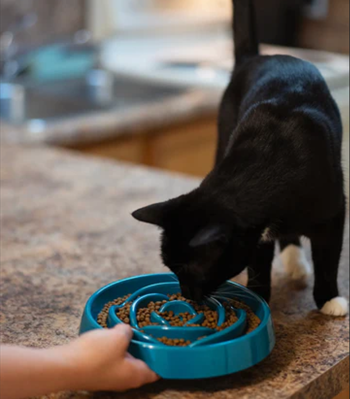 Messy Mutts Bol Ralentisseur Petit – Image 2