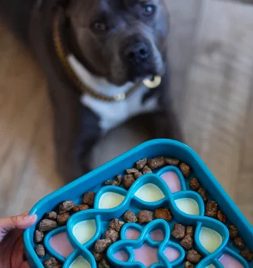 Messy Mutts Bol Ralentisseur Carré - Bleu – Image 2