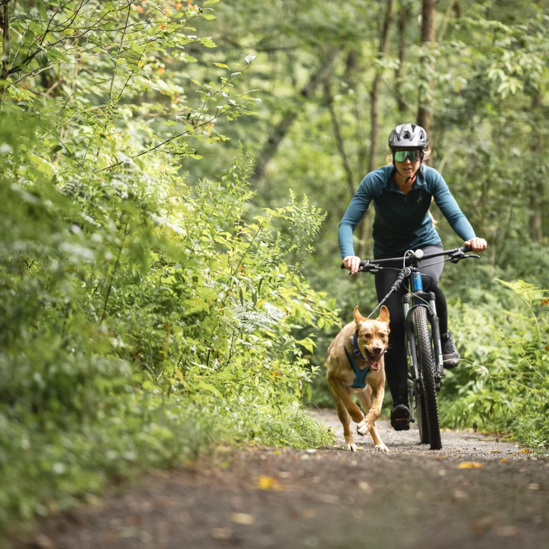 Nahak Ligne Bungee Bikejoring - Noir – Image 3