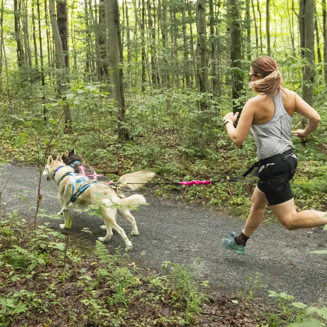 Nahak Séparateur Ligne Bungee - Noir – Image 2