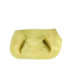 Nature's Dog Chew Nez de Vache