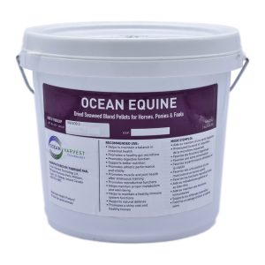 Lozana Ocean EQ - 3 kg