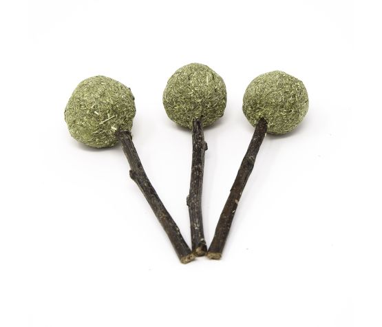 Oxbow Gâterie à Mâcher Fléole des prés - Sucette – Image 2