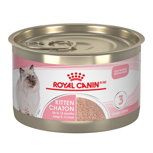 Royal Canin conserve pour chaton (pâté)