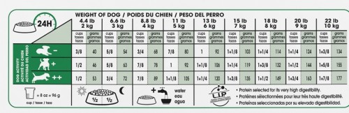 Royal Canin Chien Adulte Petite Race – Image 4