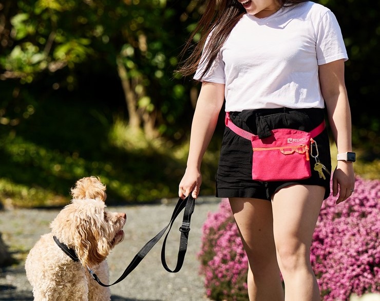 RcPets Pochette à Gâteries «Quick Grab» - Olive – Image 3