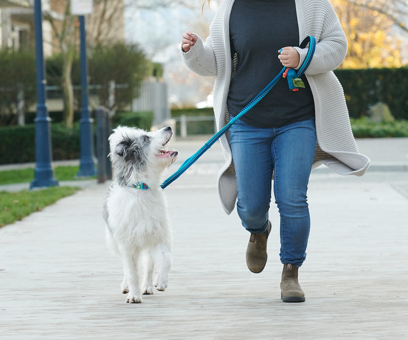 RcPets Laisse Traffic Bungee - Bleu – Image 2