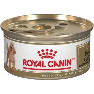 Royal Canin conserve chien caniche - 85g