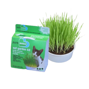 Van Ness Jardin d'Avoine