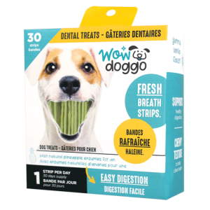 Wow Doggo - Bandes Menthe / Vanille