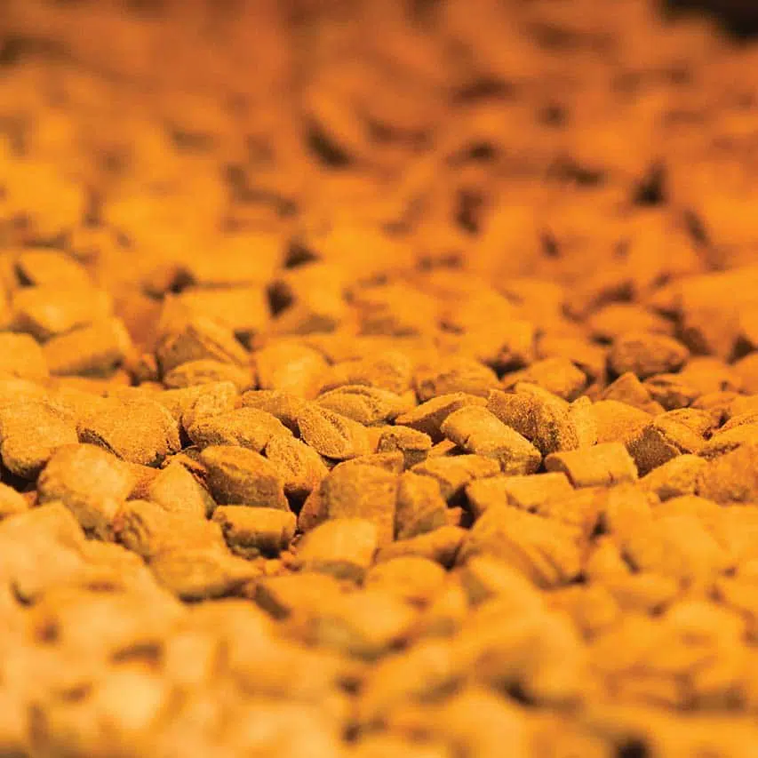 Catit gâteries Nibbly Protéines Variées - 90g – Image 3