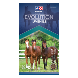 Purina Evolution Juvénile 20kg