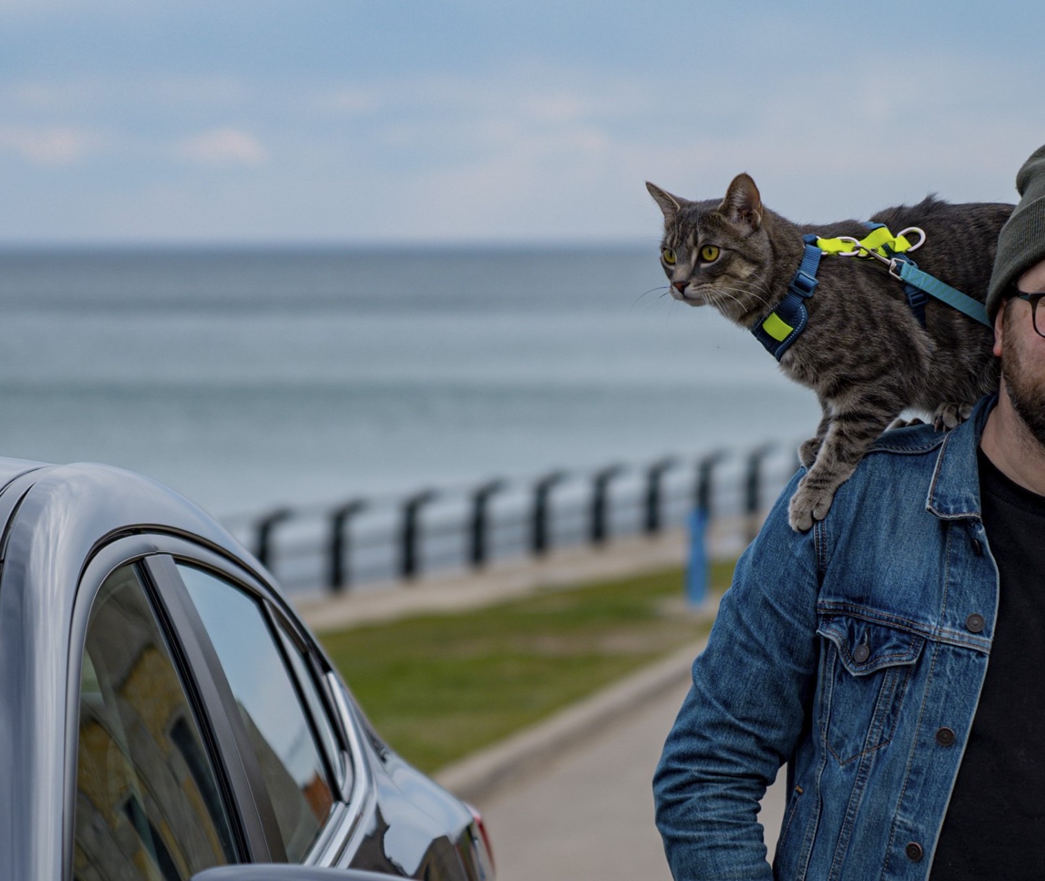 RcPets Harnais Moto - Bleu & Tennis – Image 2