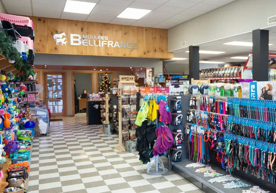 moulees-bellifrance-St-Hyacinthe