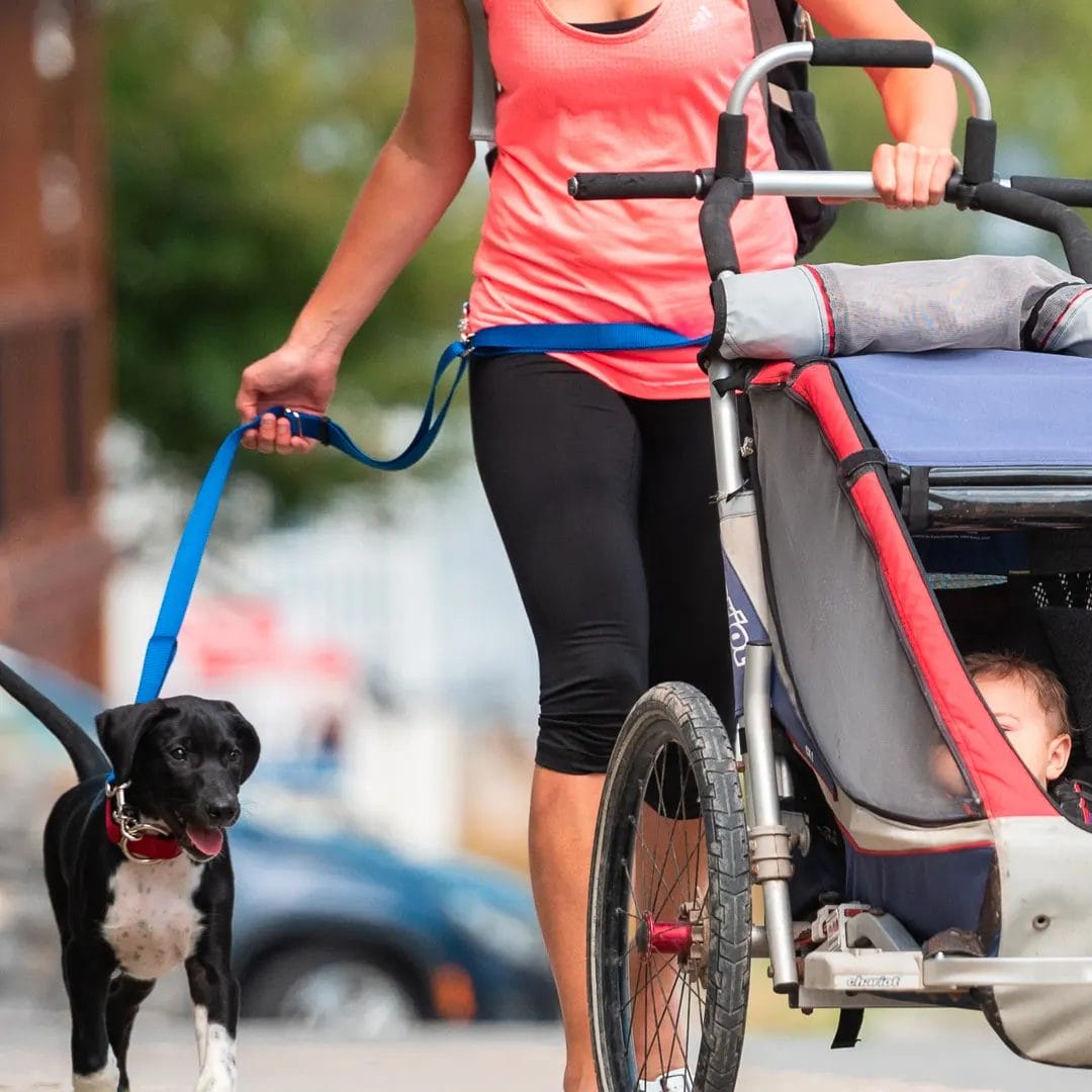 Nahak Laisse Multifonction - Aqua – Image 2