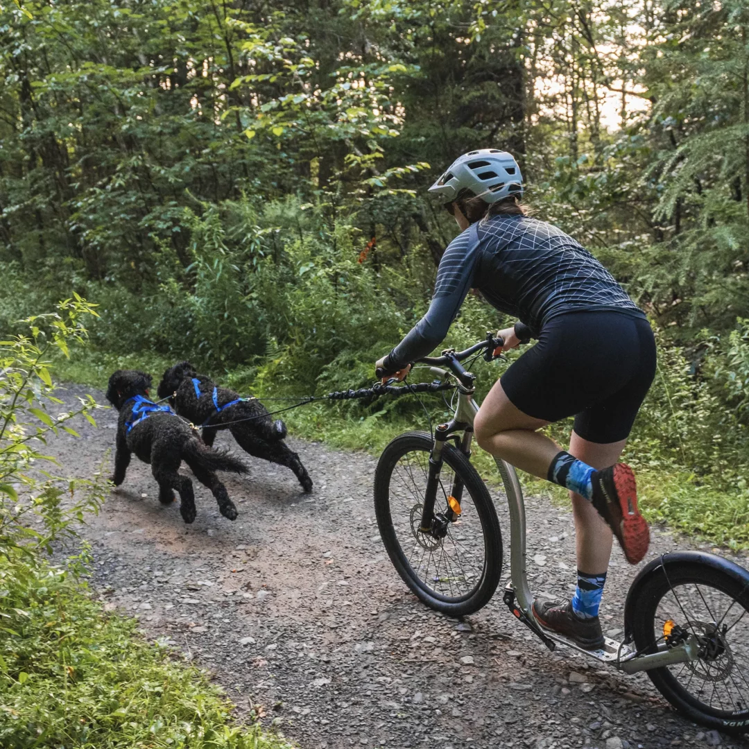 Nahak Rallonge Ligne Bungee - Noir – Image 2