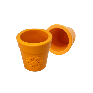 Big Country Raw SodaPup Distributeur à Gâteries Pot Fleurs Orange