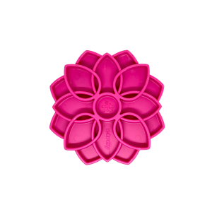 Big Country Raw SodaPup Bol Ralentisseur Mandala Rose