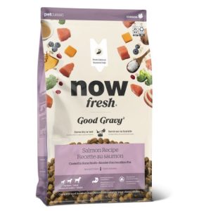 Now Fresh Good Gravy Aux Grains Anciens Pour Chien Saumon 10kg