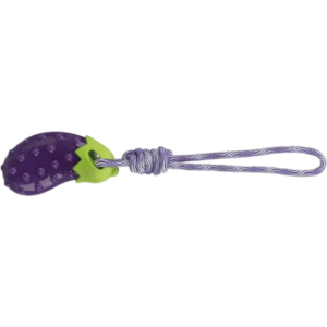 Trixie Jouet Chiot Aubergine sur Corde