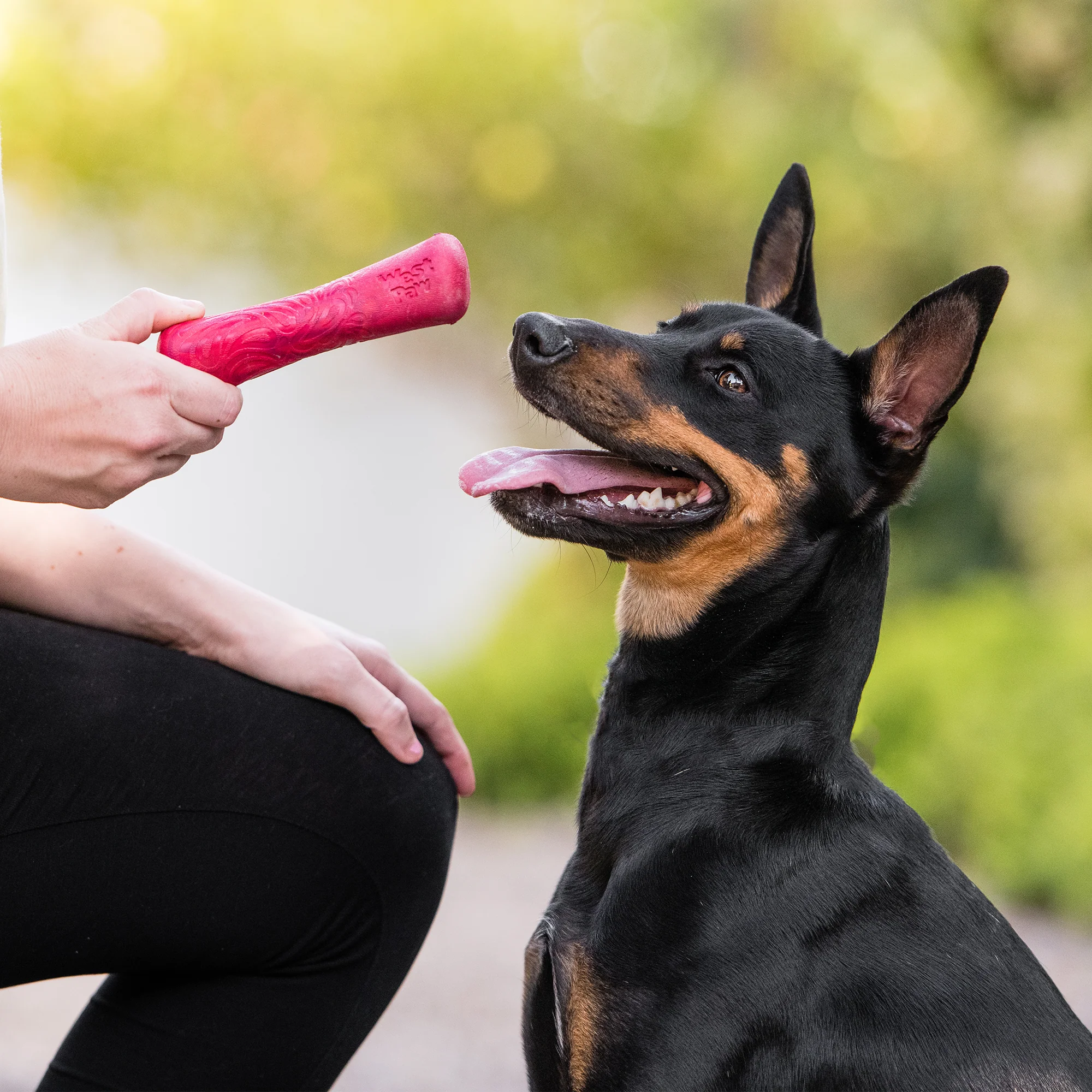 WestPaw Drifty – Image 2