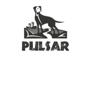 Pulsar