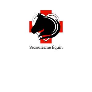 Secourisme Équin
