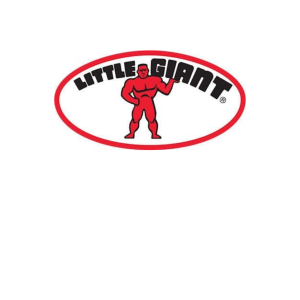 Little Giant