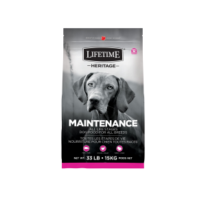 Lifetime Chien Héritage Maintenance 15kg
