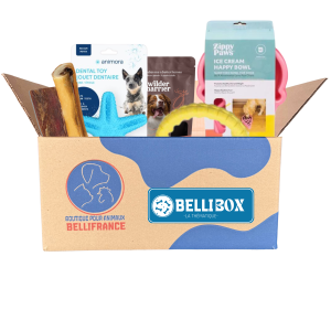 Bellibox «La Thématique»