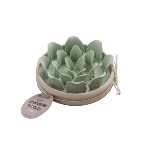 Dexypaws Bol Ralentisseur Laitue