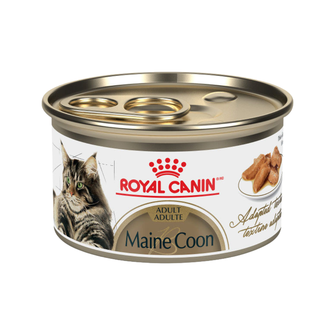 Royal Canin Conserve Chat Main Coon Tranche en Sauce 85g